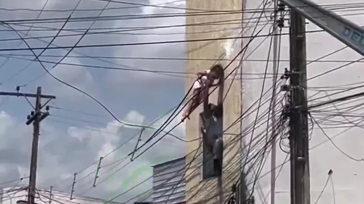 Reprodução